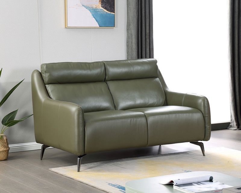 現場展示品出清-擇木深耕-亞德雙人真皮沙發