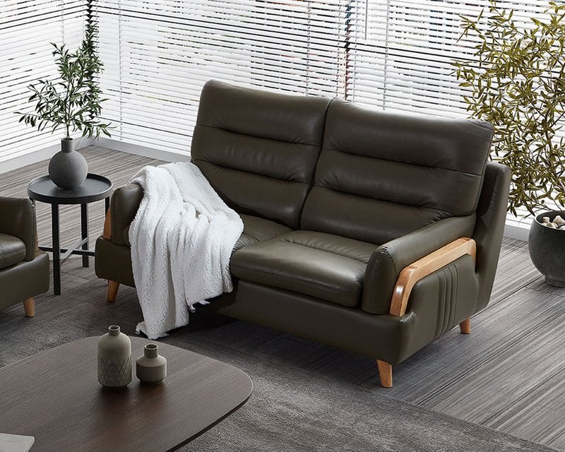 現場展示品出清-擇木深耕-拉吉歐雙人真皮沙發