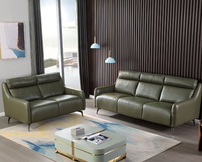 現場展示品出清-擇木深耕-亞德2+3人座真皮沙發