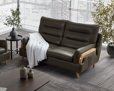 現場展示品出清-擇木深耕-拉吉歐雙人真皮沙發