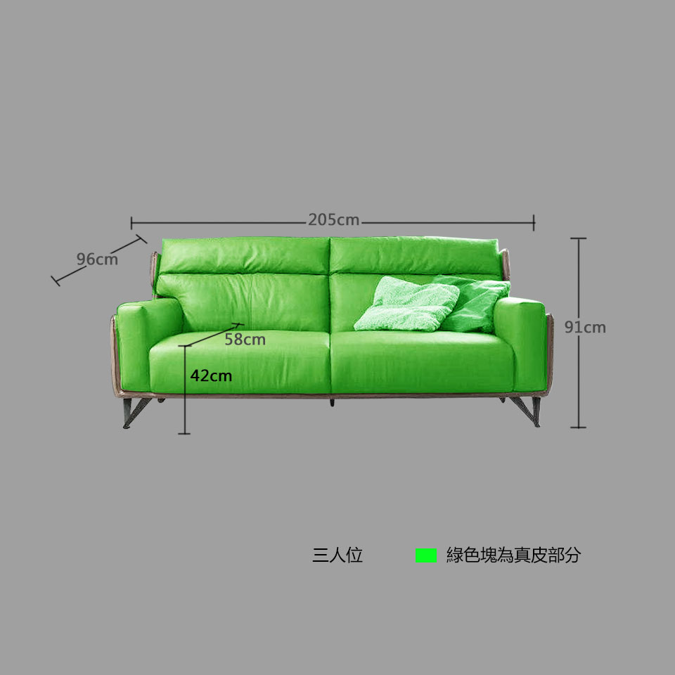 艾瑞爾2+3人座真皮沙發尺寸說明