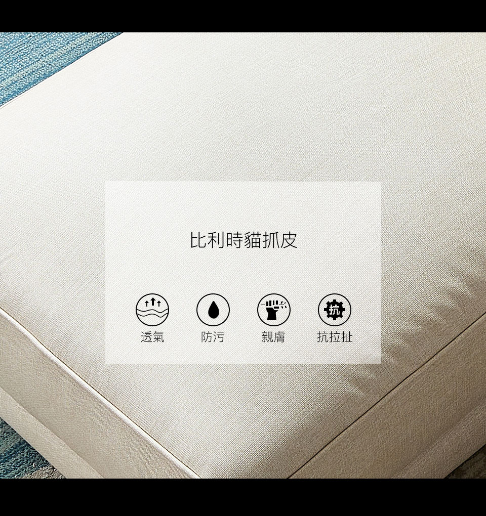 比利時貓抓皮，有小孩有寵物家庭、貓奴最愛