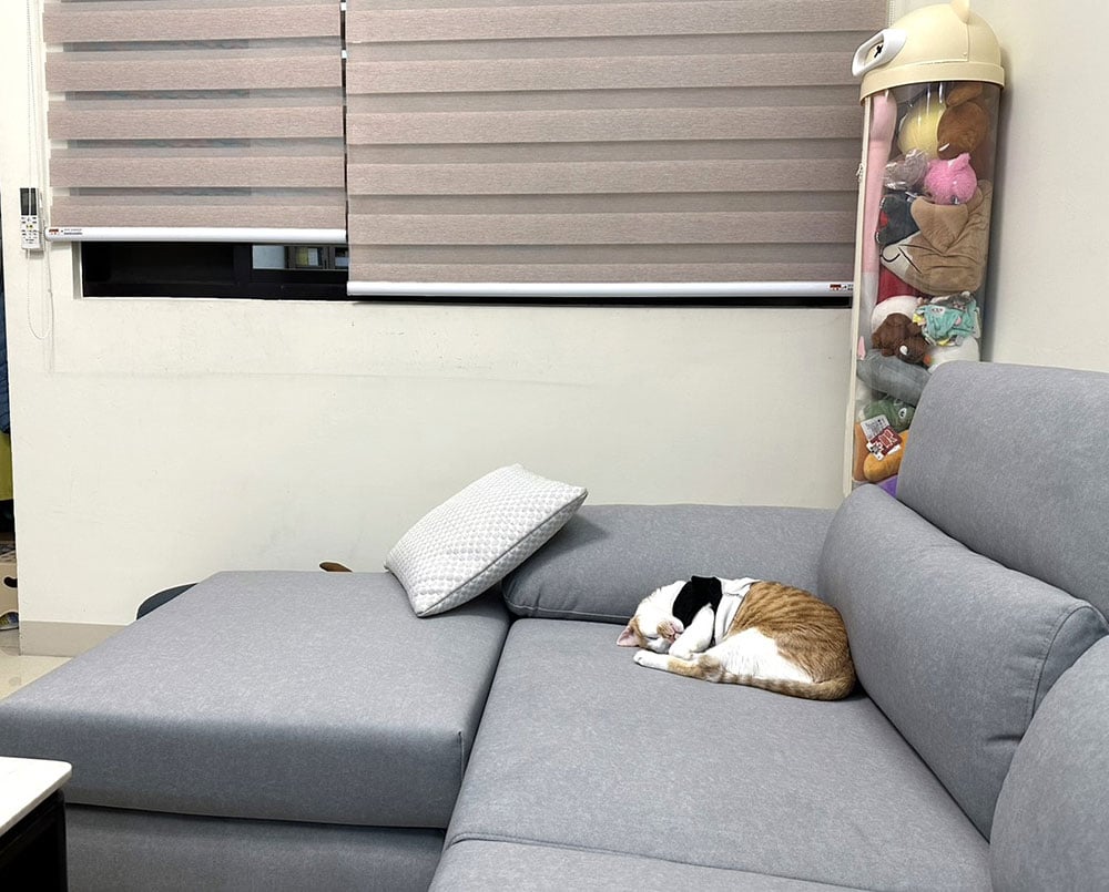 YKS 多麗絲L型布沙發(客製貓抓布)｜屏東長治洪小姐開箱實拍沙發側面｜貓抓布耐用親子毛孩家庭推薦