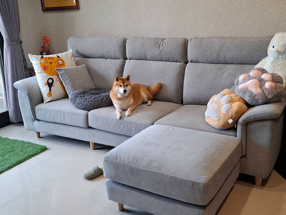 蕾貝卡 L 型布沙發|台中西屯莊小姐實際入住客廳實拍 蕾貝卡 L 型布沙發|台中西屯莊小姐客廳實拍|YKS 沙發