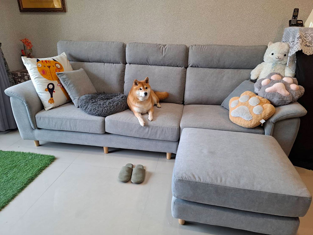 蕾貝卡 L 型布沙發|客製貓抓布布料與靠背微調使用情境 蕾貝卡 L 型布沙發|台中客實拍沙發與狗狗合影|YKS 沙發