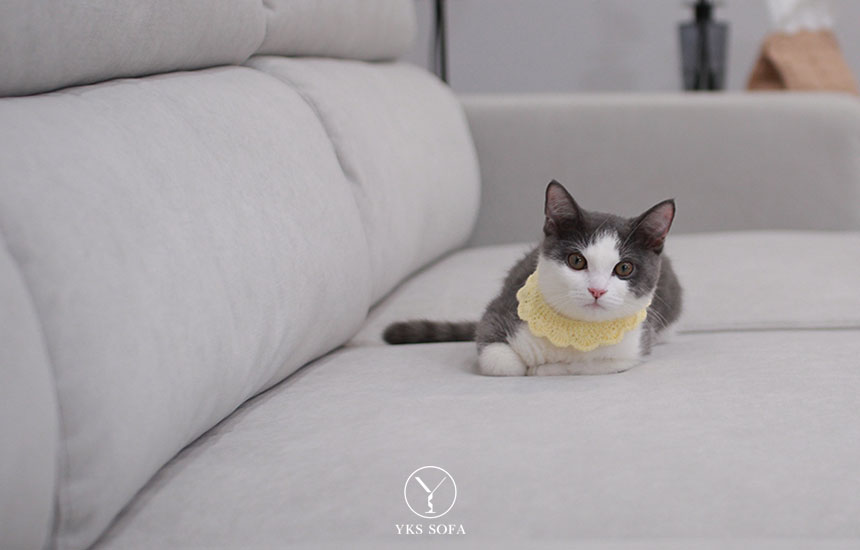 有毛孩/小孩的家庭,為什麼建議選防勾紗貓抓布? 有毛孩/小孩的家庭,為什麼建議選防勾紗貓抓布?