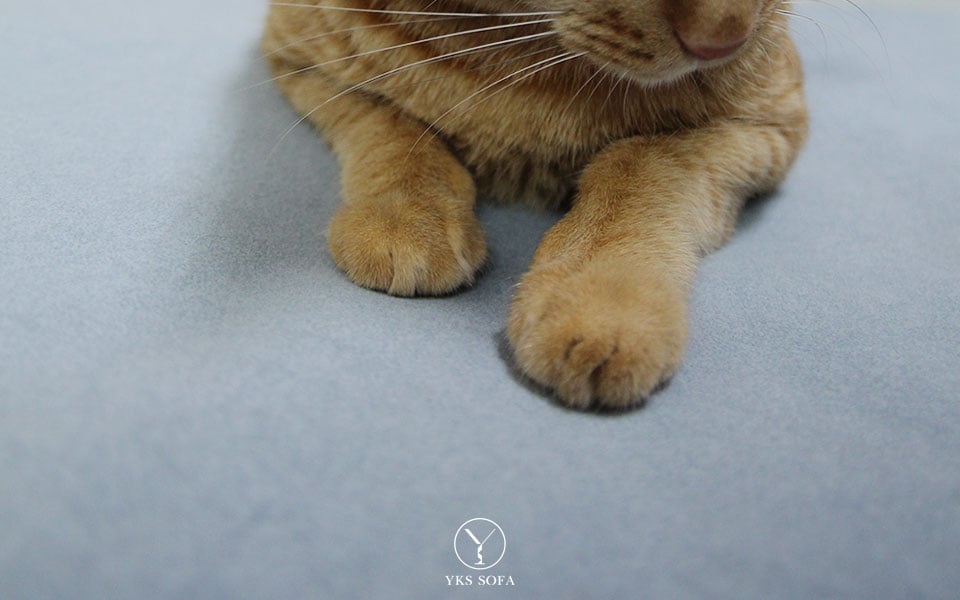 貓抓布沙發表面纖維結構與絨面觸感特寫 貓抓布沙發表面纖維結構與絨面觸感特寫